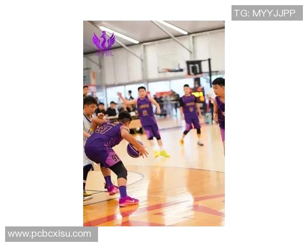 西安篮球队实力强劲荣登全国篮球技术排行榜第五名