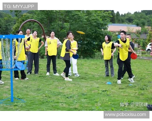 南京飞盘队在极限运动会中的个人能力展现与团队协作分析