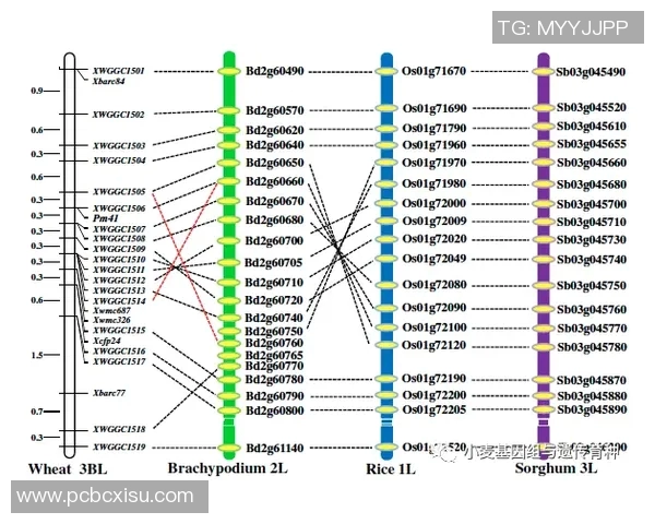 广州飞盘队团队协作表现的数据分析与提升策略探讨