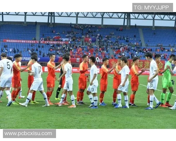 南京羽毛球队在阵地战中的得失分析与未来展望