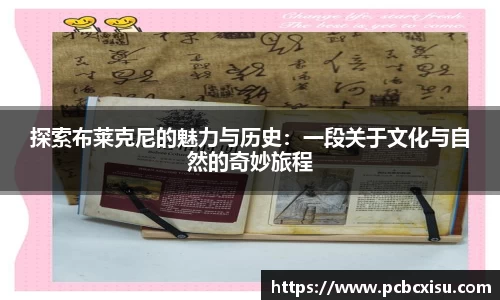6686体育APP